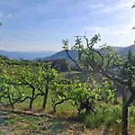 As Tapadinhas-douro