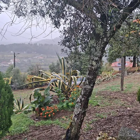 As Tapadinhas Douro Santa Marinha do Zêzere