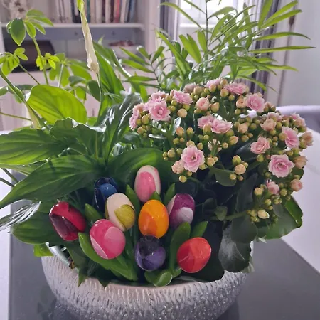 As Tapadinhas Douro Santa Marinha do Zêzere