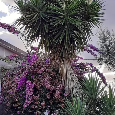 Сasa de vacaciones As Tapadinhas Douro