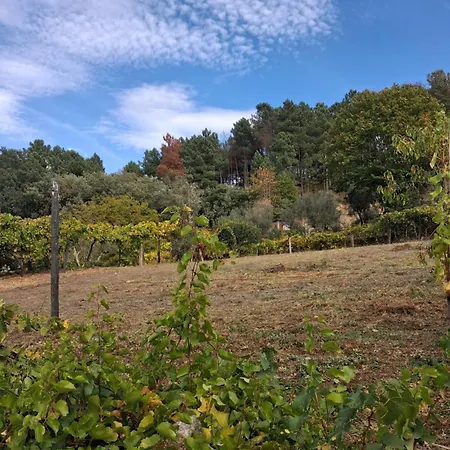 Сasa de vacaciones As Tapadinhas Douro Santa Marinha do Zêzere