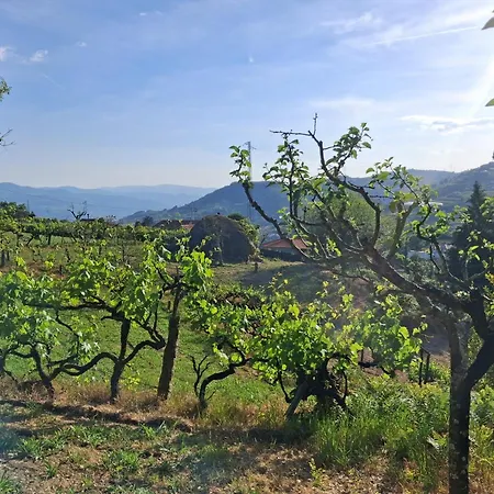 As Tapadinhas-douro