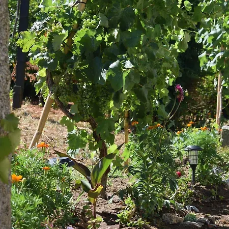 بيت للعطل As Tapadinhas-douro