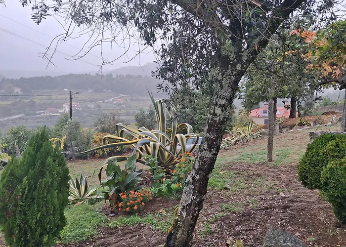 As Tapadinhas Douro Santa Marinha do Zêzere