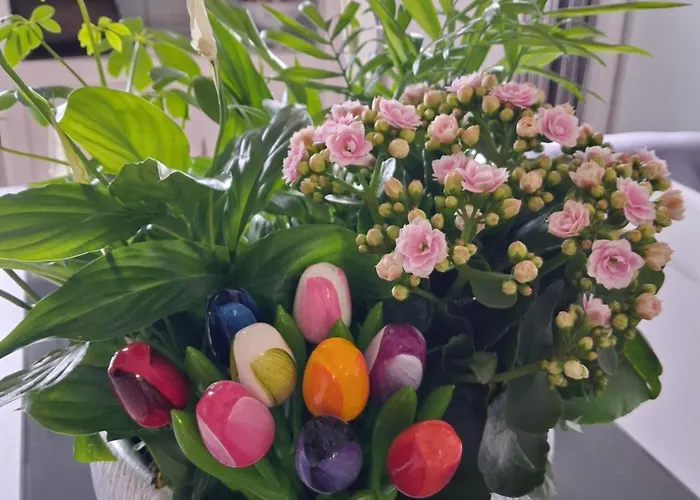 As Tapadinhas Douro Santa Marinha do Zêzere