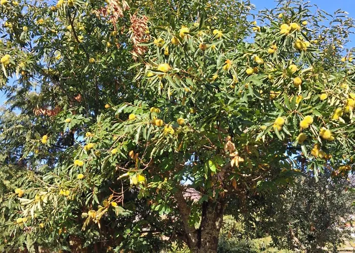 Hébergement de vacances As Tapadinhas Douro