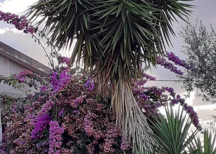 Hébergement de vacances As Tapadinhas Douro