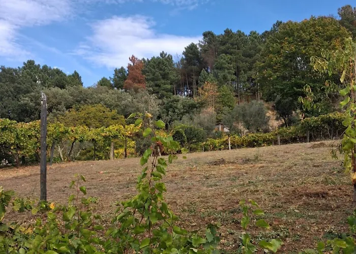 Hébergement de vacances As Tapadinhas Douro Santa Marinha do Zêzere
